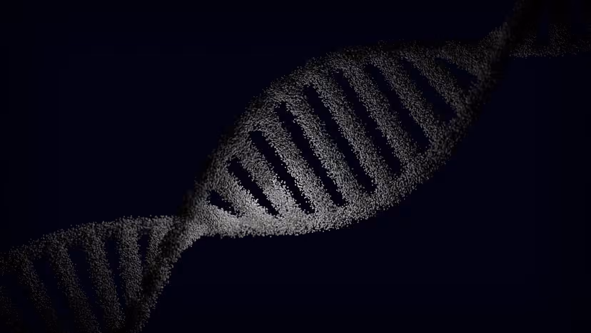 Close-up of a digital tablet displaying DNA sequences alongside clean lines of Python and Rust code, warm wooden desk environment